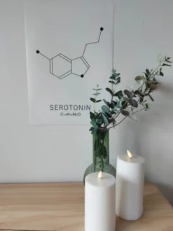 Plakat Serotonin